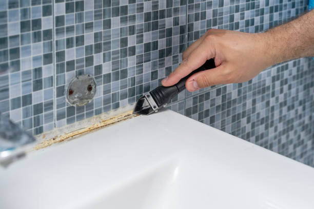Best Residential Mold Removal  in Medfd, OR