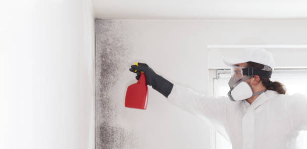 Best Mold Testing  in Medfd, OR