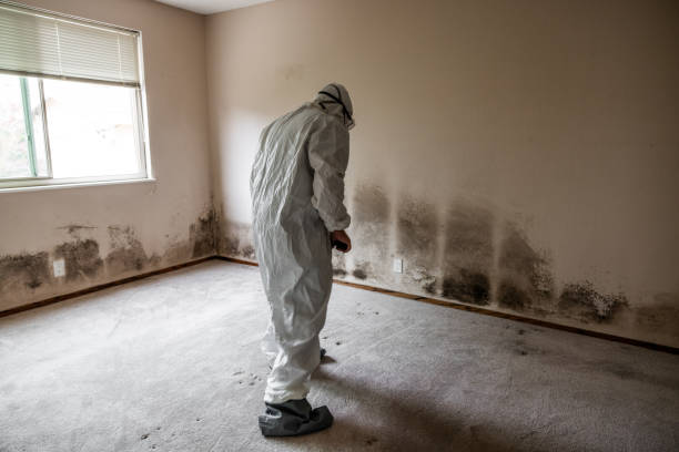 Best Office Mold Removal Services  in Medfd, OR